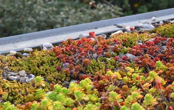 the cost of Gortnalee green roof installation