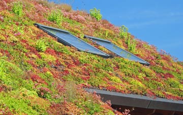Gortnalee living roof systems